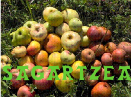 Sagartzea_logo