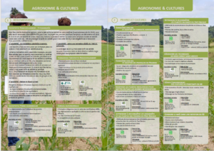 Catalogue de formations 2020 – 2020eko formakuntzak