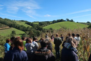 Les formations de mai-juin