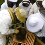 Les formations de mars et avril 2023