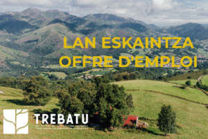 Trebatu – lan eskaintza