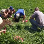 Les formations de juin et juillet 2025
