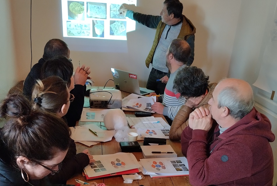 You are currently viewing Les formations de juillet et août 2025