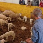 Les formations de janvier et février 2026