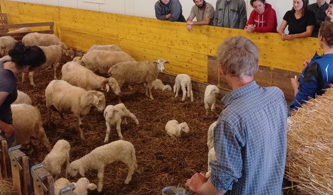 You are currently viewing Les formations de janvier et février 2026