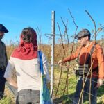 Les formations de février et mars 2026