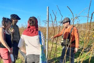 Lire la suite à propos de l’article Les formations de février et mars 2026