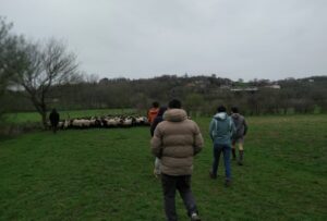 Lire la suite à propos de l’article Les formations d&rsquo;avril et mai 2026