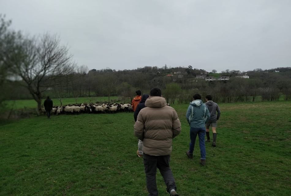 You are currently viewing Les formations d&rsquo;avril et mai 2026