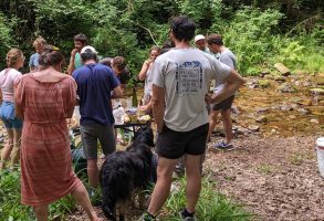 Formation plantes bioindicatrices 2023