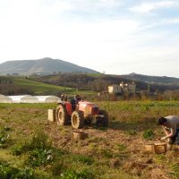 champs avec tracteur Garro