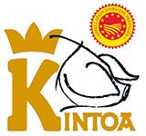 Kintoa_logo